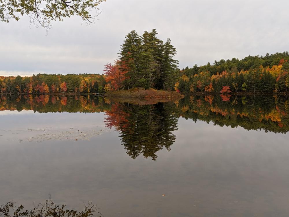 Fall foliage on Beaver Pond