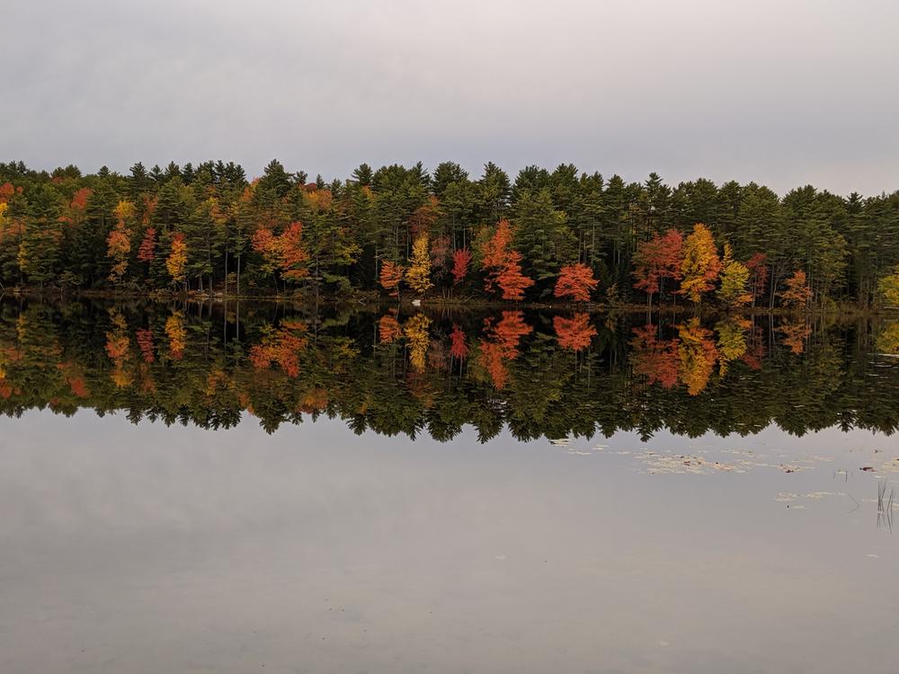 Fall foliage reflection
