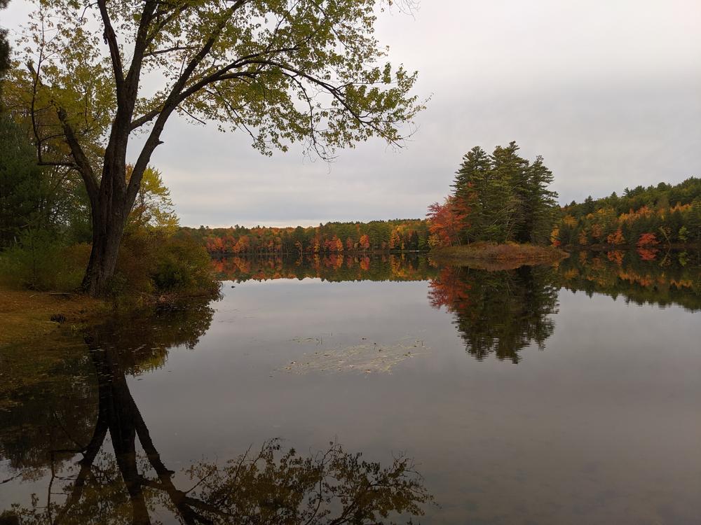 Beaver Pond in autumn