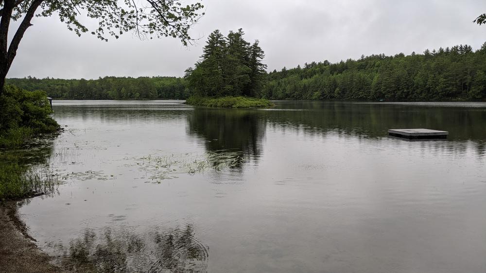 Beaver Pond summer
