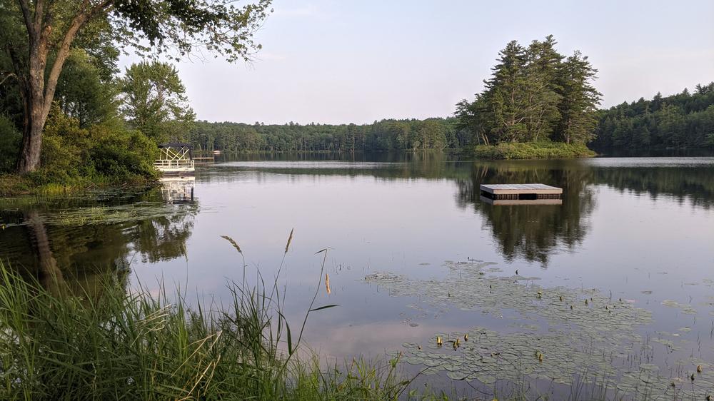 Beaver Pond